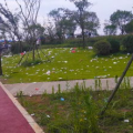 垃圾网红地,揭秘网红打卡地背后的垃圾真相